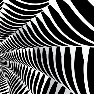 Spider Web Quotes http://wallpapers.songcost.com/4537/poze-flori ...