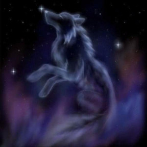 Fantasy Fantasy Wolf