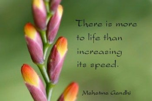 Quotes of Life Gandhi Flower buds