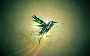 abstract birds creative hummingbirds 1920x1200 wallpaper