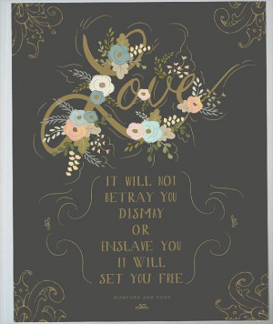One of my favorite Mumford & Sons quotes - very cool!>>Love print for ...