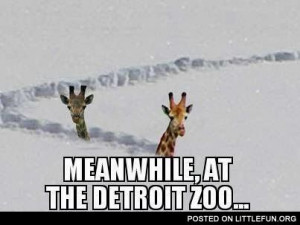 Meanwhile, at the Detroit Zoo.