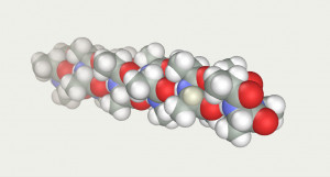 Protein Molecule