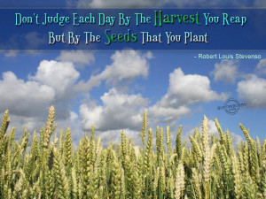 Don't judge each day by the harvest you reap but by the seeds...