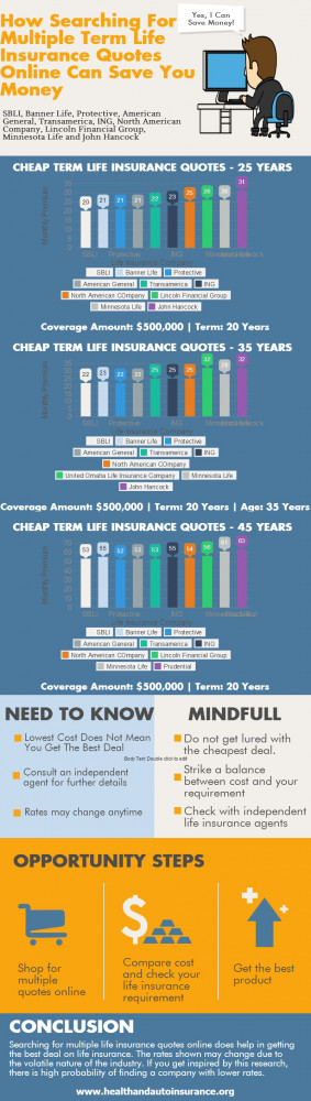 INFOGRAPHIC-How Searching For Cheap Term Life Insurance Quotes Online ...