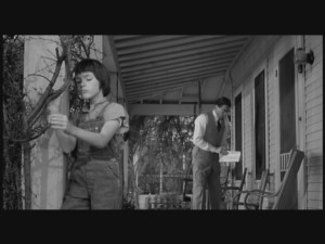 Aunt Alexandra To Kill A Mockingbird Aunt alexandra is welcomed by