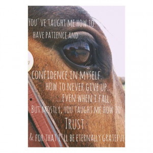 Equestrain quote. OTTB. Trust. Confidence. Love.