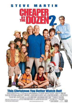 Cheaper by the Dozen 2 (2005) poster