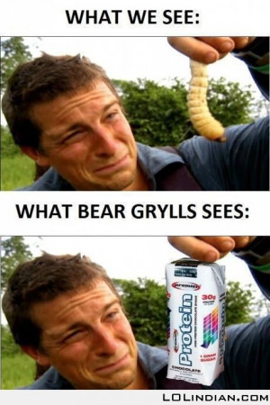 What bear grylls sees