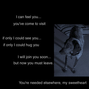 Animal Adoption Quotes Poems http://picsbox.biz/key/animal%20rescue ...