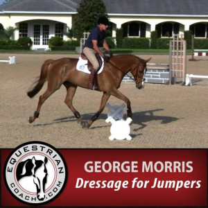 dressage for jumpers george morris is one of my favorite horsemen ever