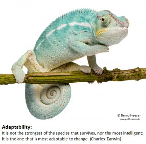 Adaptability - Change Is Good