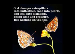 God changes caterpillars into butterflies, sand into pearls