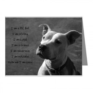 Cute Pitbull Dog Quotes