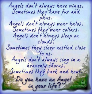 ... Angel in your life?Life, Dogs, Quotes, Rainbows Bridges, Pets, Doggie