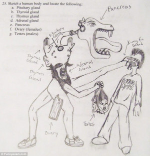 What's hard water? It's ice... my Mummy's a pole dancer and heartless ...