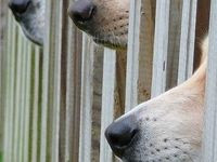 ... nosy people! Captions and pictures to post for haters or nosy people