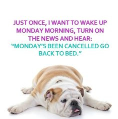 Mondays Cancelled quotes quote days of the week monday quotes happy ...