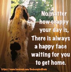 ... One Has Loved An Animal | Dog Quote Poster - A Place to Love Dogs