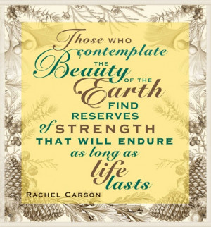 Rachel Carson Quote