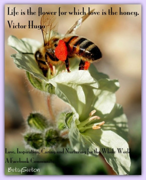 Love and Honey Victor Hugo quote