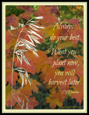 Autumn Quote with Shaft of Wheat Photo from RainbowsWithinReach
