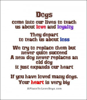 ... Love And Loyalty They Depart To Teach Us About Loss - Dogs Quotes
