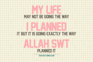 the-way-allah-planned-it.png