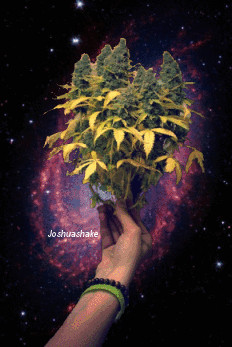 Related Pictures trippy hippie drugs weed marijuana ganja cannabis lsd ...