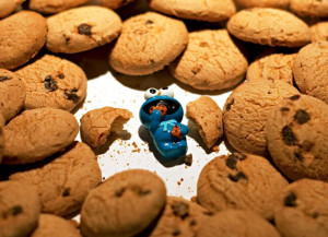 Baby Cookie Monster eating cookies.