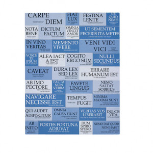 Magnet-set-Latin-Quotes-sayings-kids-history-gifts-cmck45750 ...