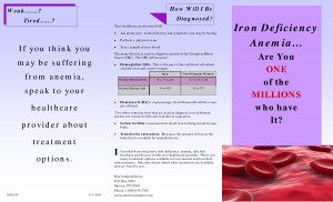 Anemia Brochure by website1981