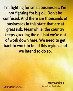 Mary Landrieu - I'm fighting for small businesses. I'm not fighting ...