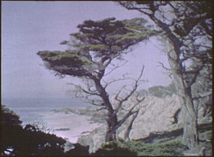 Carmel-by-the-Sea, California : photo by Arnold Genthe, c. 1906-1911 ...