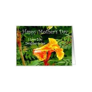 ... law card daughter in law cards mother in law mother in law problems