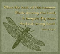 Dragonfly Quotes