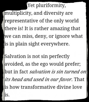 Fr. Richard Rohr. Falling Upward....