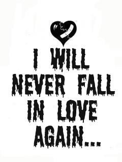 will never love again.