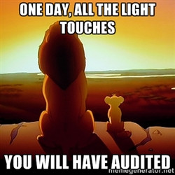 simba mufasa - One Day, All the light touches You will have audited