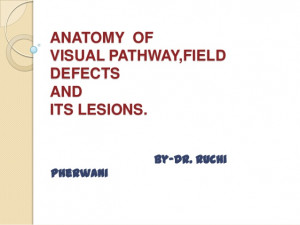 Quotes Pictures List: Visual Pathway Lesions