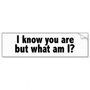 Sarcastic Quotes Bumper Stickers