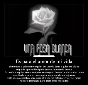 imagenes amor para el amor de mi vida Imagenes para el amor de mi vida