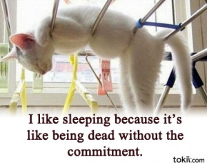 ... wp-content/flagallery/sleepy-quotes/thumbs/thumbs_sleep-cat.jpg] 59 0