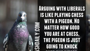 Arguing with a Like Playing Chess Pigeon