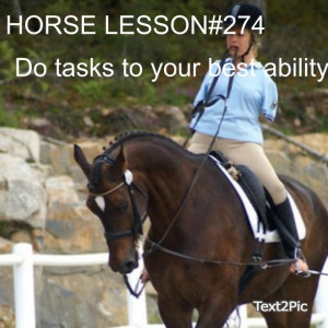 Horse lessons
