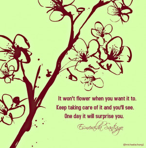 introvert quotes and sayings