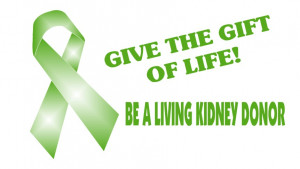 KIDNEY TRANSPLANT DONOR REQUIREMENTS: