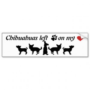 Chihuahuas left Paw Prints my Heart Fun Dog Quote Bumper Sticker