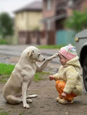 Found on buzzfeed.com