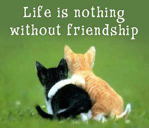 ... Quotes - Life is nothing without friendship - Good Morning Wishes
